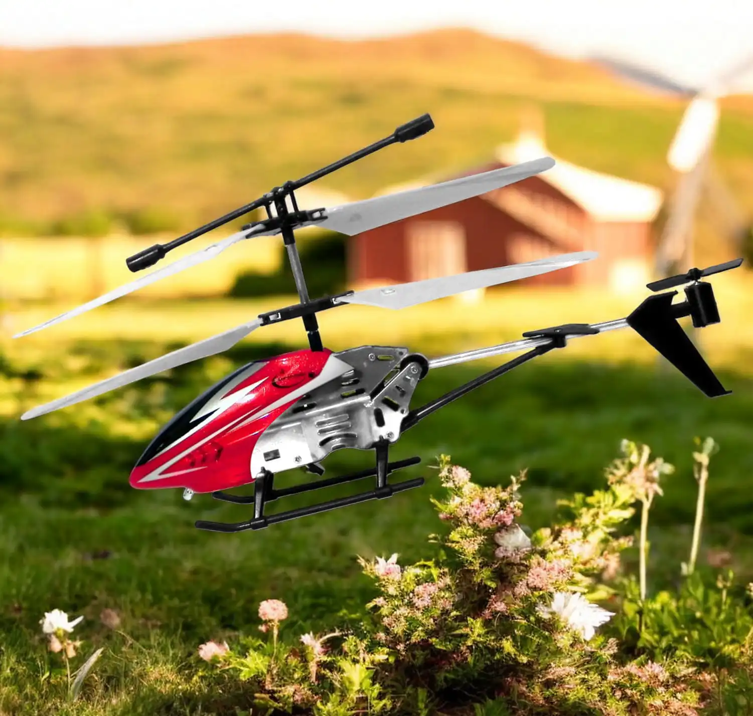 Miniatura 1