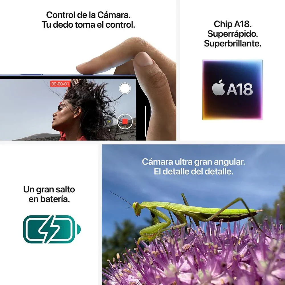 Miniatura 9