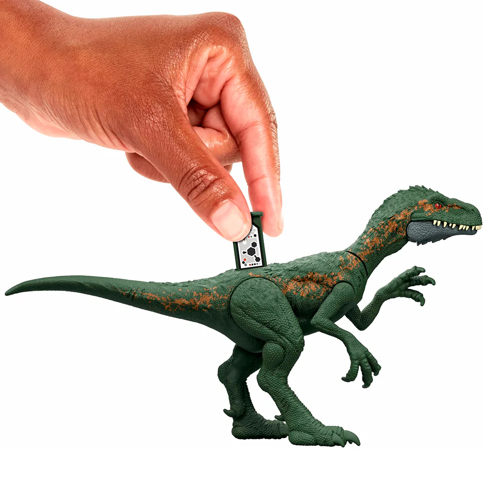 Miniatura 6